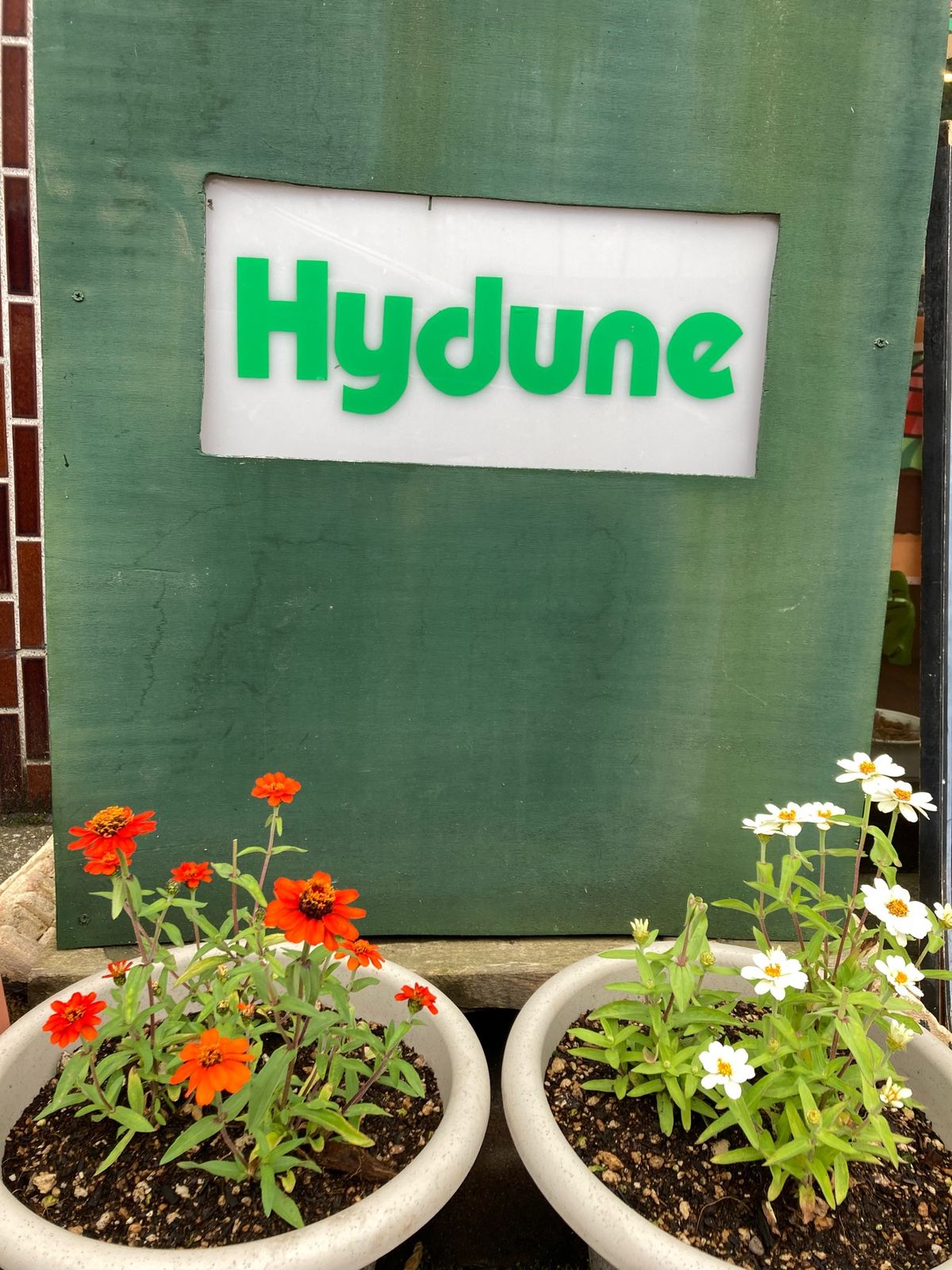 洞爺湖の絶品ハンバーガー屋さん。