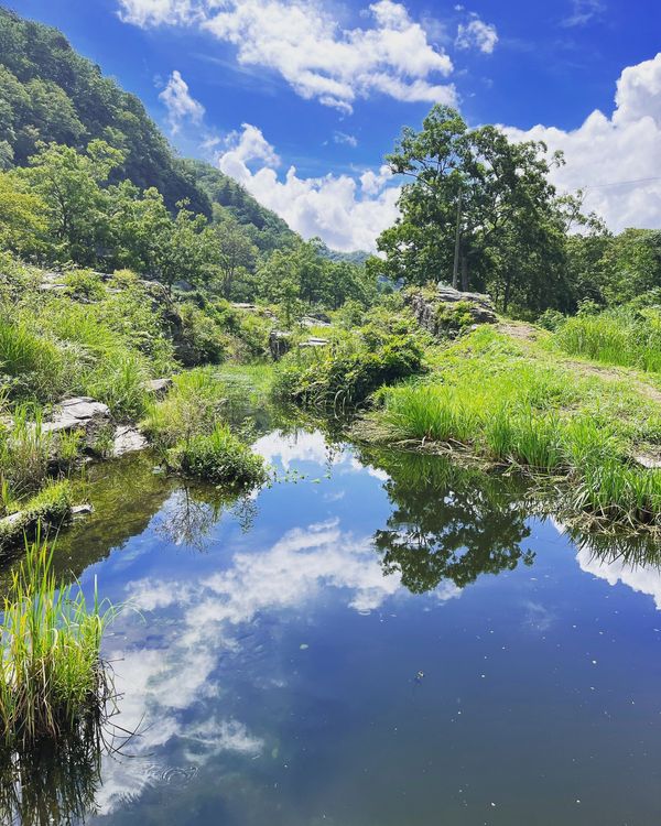 日本・埼玉県「秩父旅行」の写真：長瀞