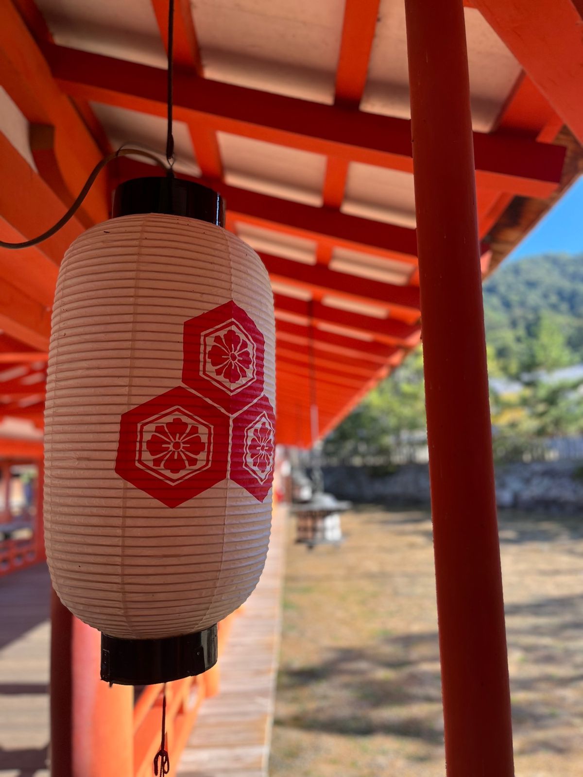 厳島神社と穴子。