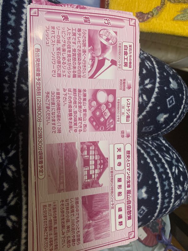 日本・京都府「京都日帰り旅行」の写真：行程表