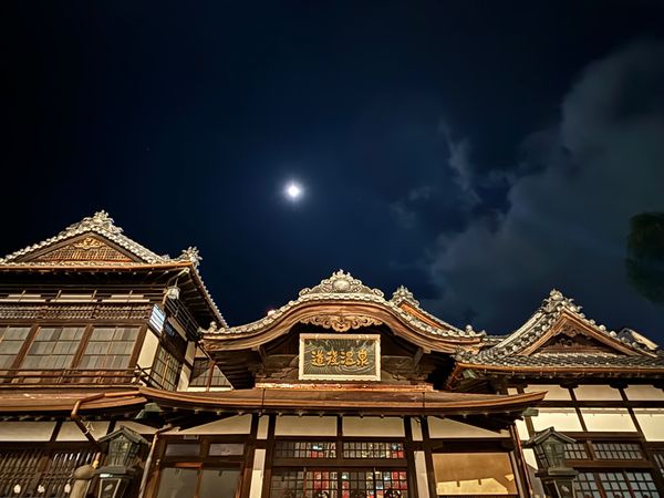 日本・徳島県「四国1周:愛媛・香川・徳島・高知 2023.12」の写真