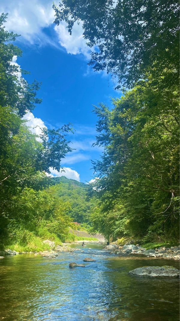 日本・広島県「広島　川」の写真