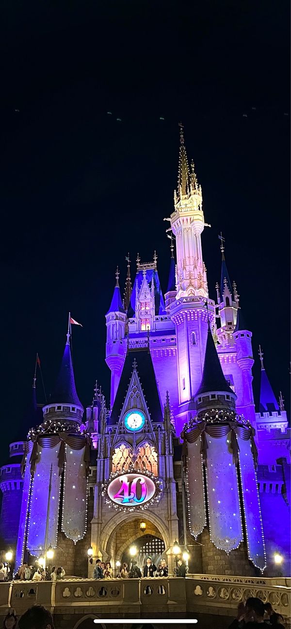 日本・東京「東京　ディズニー」の写真