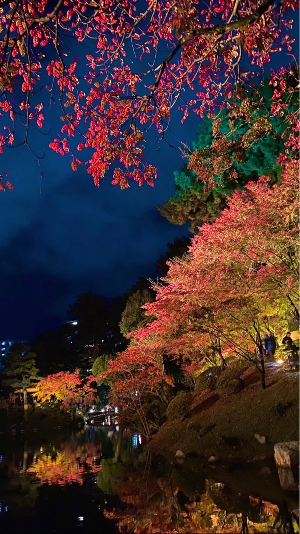 日本「広島 縮景園」の写真