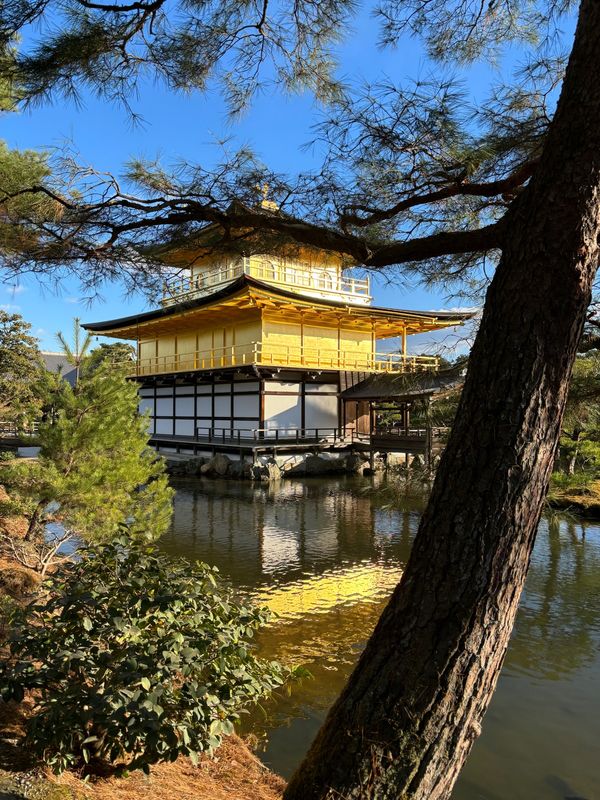 日本「「京都」」の写真