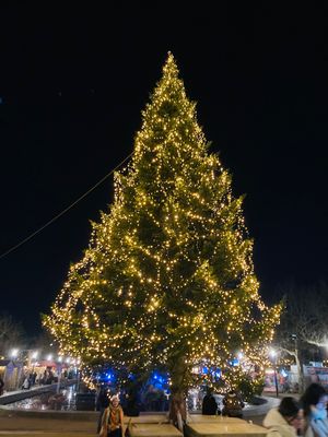 アムステルダムのクリスマスマーケット
乗る電車を間違えてしまいギリギリに着...