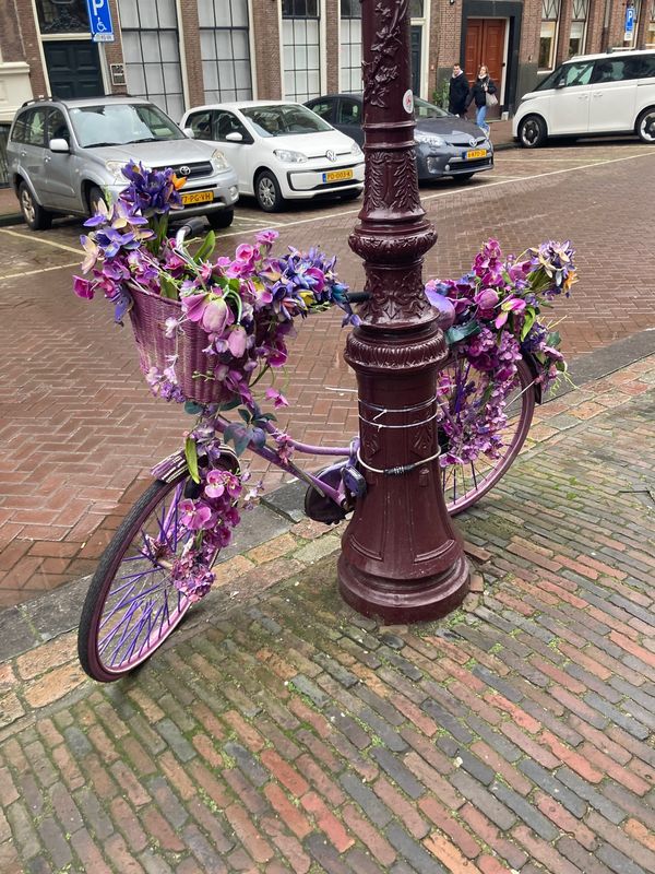 オランダ・アムステルダム「オランダ美味しいもの食べ尽くす旅」の写真：アムステルダムは歩くだけで楽しめるところ...