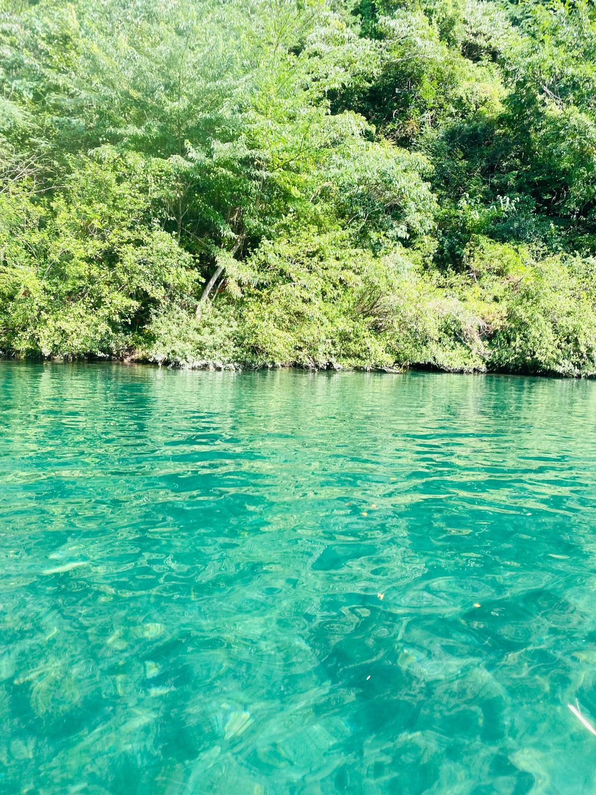 仁淀ブルー〜にこ淵〜高知市
