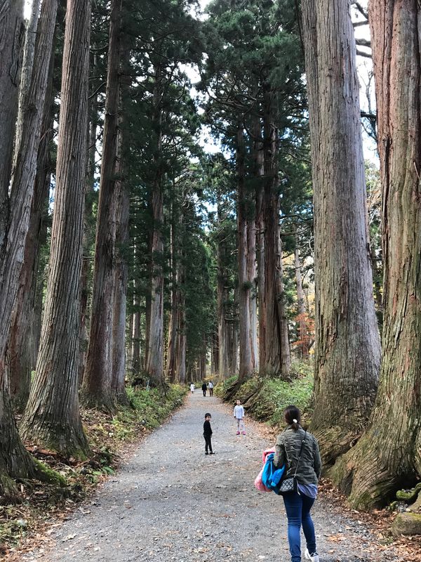 日本・長野県「長野旅行」の写真