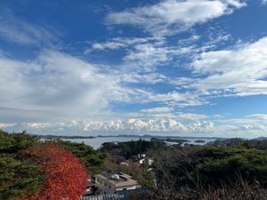 松島②
市場で食べるまぐろ丼美味しかった！
紅葉もちょうど綺麗な季節🍁