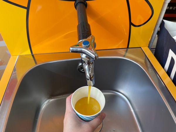 日本・徳島県「四国一周旅行3泊4日」の写真：3日目　蛇口みかんジュース

念願の！蛇...