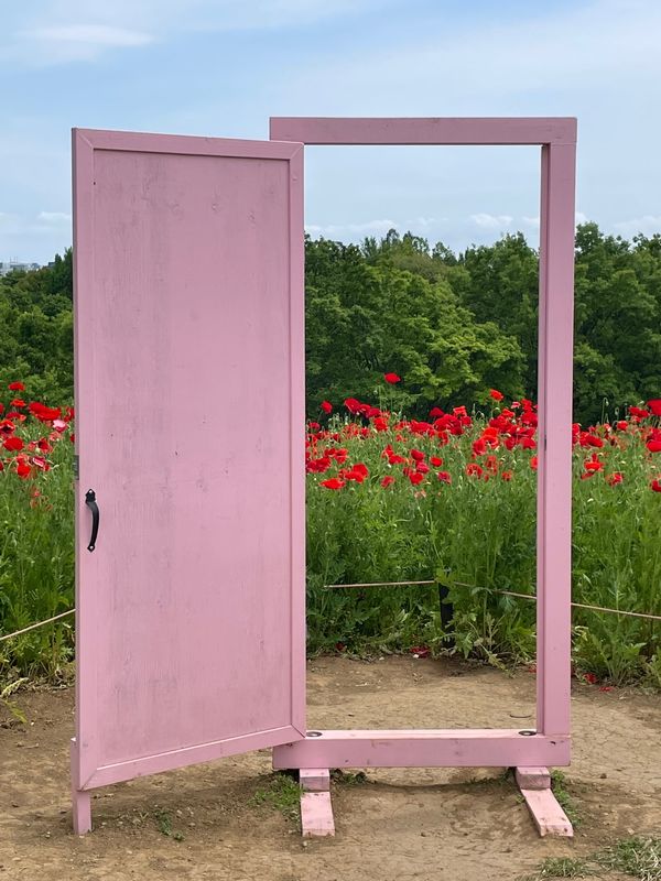 日本・東京都「昭和記念公園」の写真：公園内いろんなところにあった、どこでもドア🚪