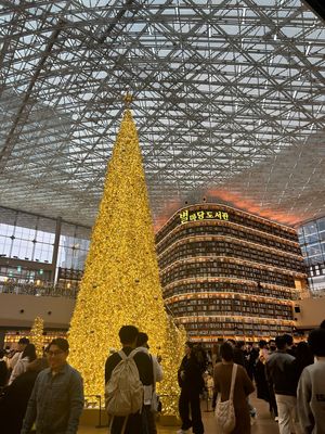 またピョルマダン図書館に行きました。今回はクリスマスツリーがありました🎄