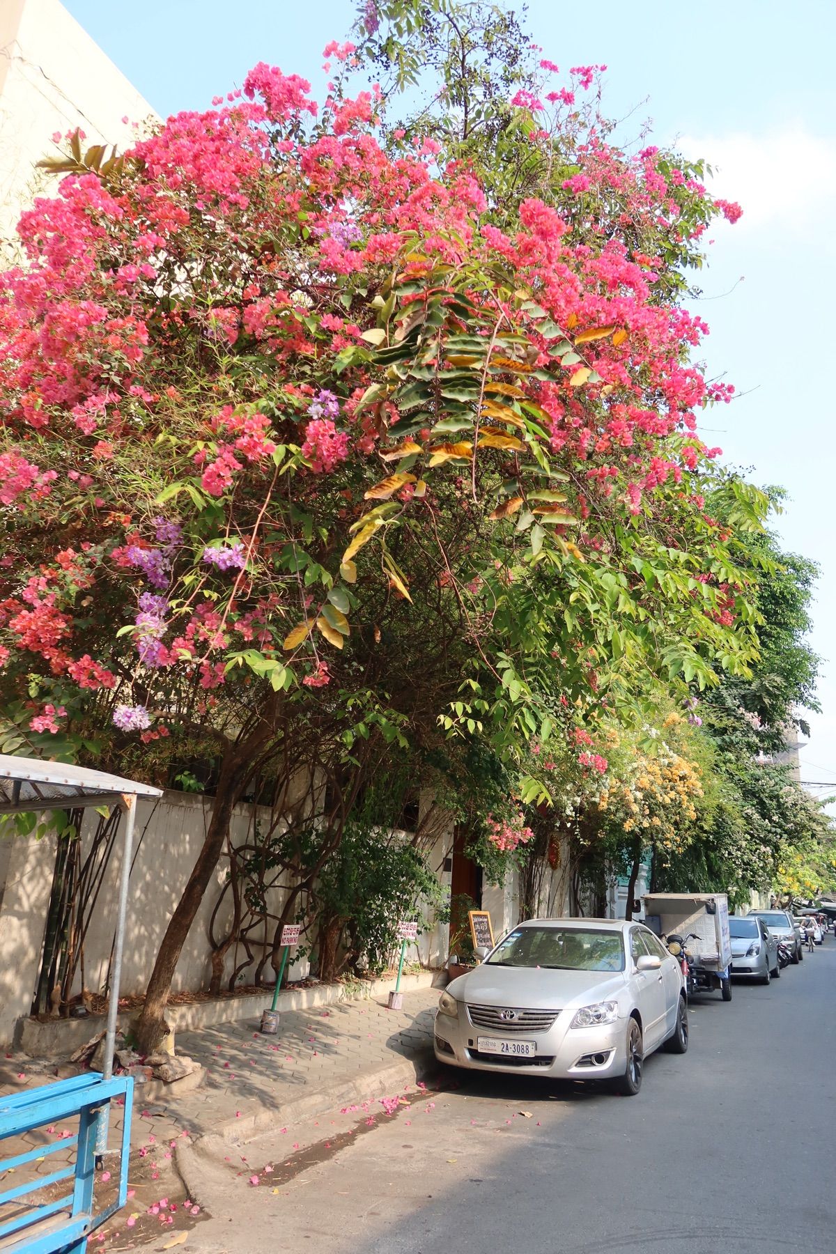 プノンペンの街並み