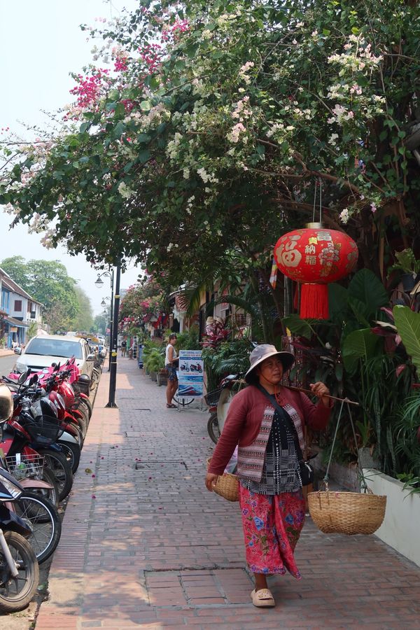 ラオス人民民主共和国・ルアンパバーン「カンボジア&ラオス旅🇰🇭🇱🇦」の写真：この旅最後の2泊をルアンパバーンで過ごす...