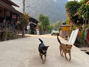 ムアンゴイの風景。
人も犬もみんな優しい。