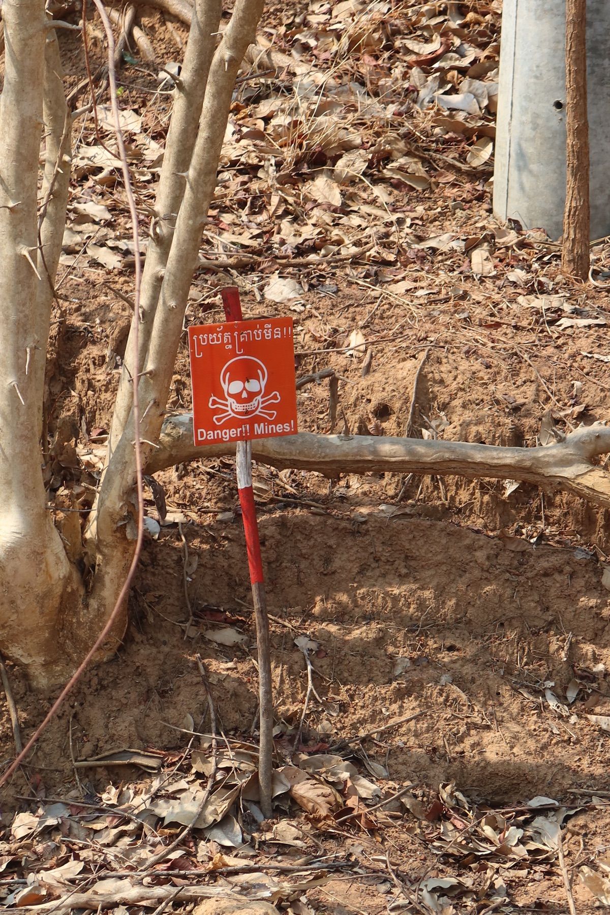 シェムリアップからプレアヴィヒアまでは片道約4時間。道中は日本では見ること...