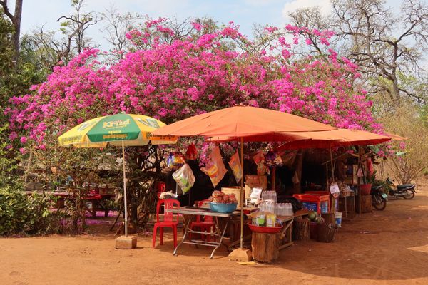 ラオス人民民主共和国・ルアンパバーン「カンボジア&ラオス旅🇰🇭🇱🇦」の写真：シェムリアップからプレアヴィヒアまでは片...