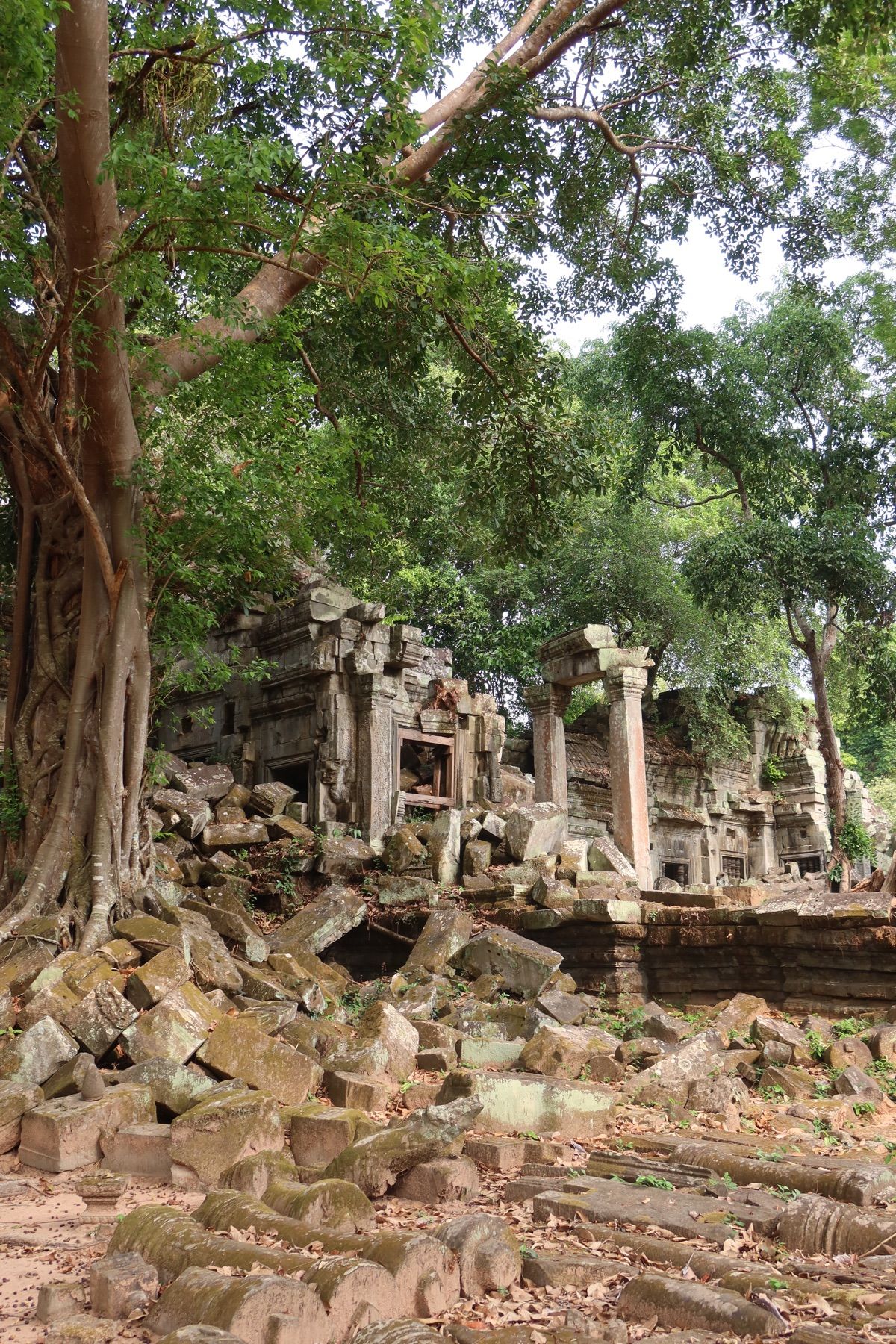 シェムリアップ最終日。フライトまで時間があるので、最後にベンメリア遺跡へ。...