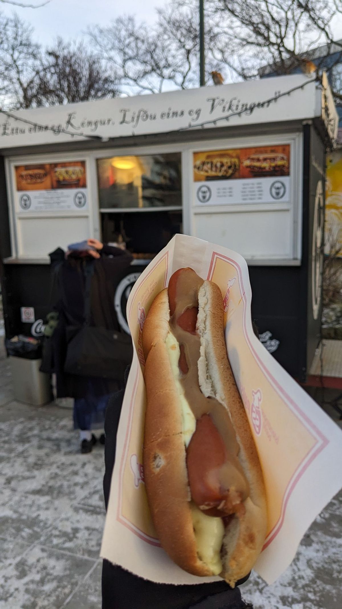 再びホットドッグを食べる。
今度は、Víkinga Pylsur。
世界一...