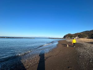 朝は海をお散歩。
ホテルの中は、フォトスポットや室内の遊び場もありました🥰