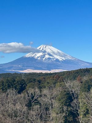 三島スカイウォーク。400メートルの吊り橋は、カートに入れればワンコも一緒...