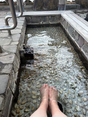 土肥温泉。
無料の足湯（人間のみ）♨️、
土肥桜は1月でほころび始め🌸
西...