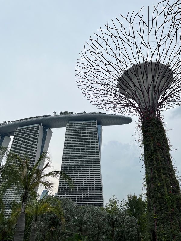 シンガポール「シンガポール　e-sports」の写真：ちょっとだけ観光