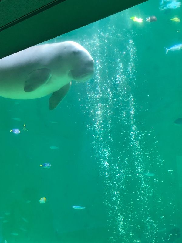 日本・和歌山県「2022夏　紀伊半島」の写真