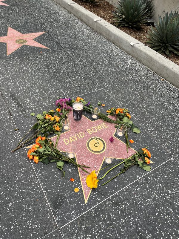 アメリカ(米国)・ロサンゼルス「アメリカ2023」の写真：ハリウッド