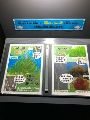 鹿児島水族館
水槽は勿論だが説明書なども素晴らしい