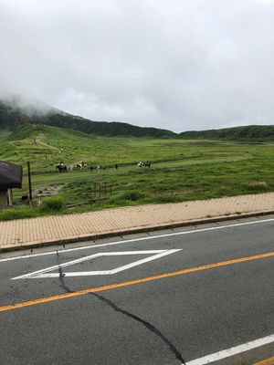 阿蘇山
火口は火山活動で行けんかった泣