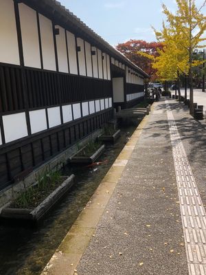 津和野①
遠いし、小さい街だけど落ち着いた良い雰囲気