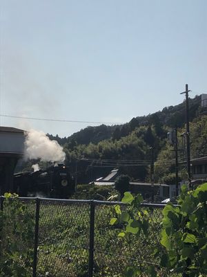 津和野①
遠いし、小さい街だけど落ち着いた良い雰囲気