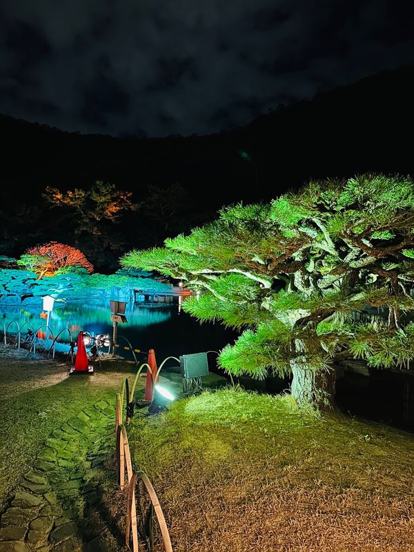 日本・徳島県「四国一周 𝐢𝐧 𝐒𝐡𝐨𝐝𝐨𝐬𝐡𝐢𝐦𝐚,𝐍𝐚𝐫𝐮𝐭𝐨,𝐃𝐨𝐮𝐠𝐨」の写真