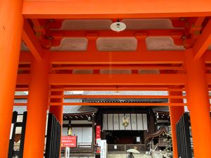 辰年の初詣🐉としてTVで紹介されていた神社⛩️巡り