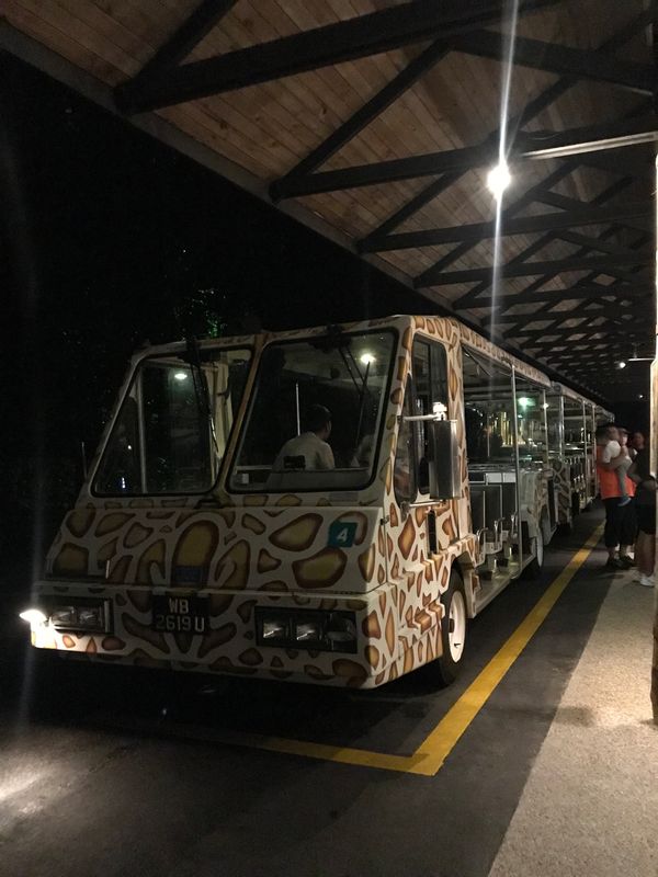 シンガポール「会社旅行@シンガポール」の写真：ナイトサファリ