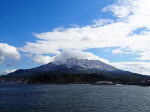 大寒波で鹿児島も雪がふり桜島にも着雪☃️
普段見られない姿、綺麗でした。
...