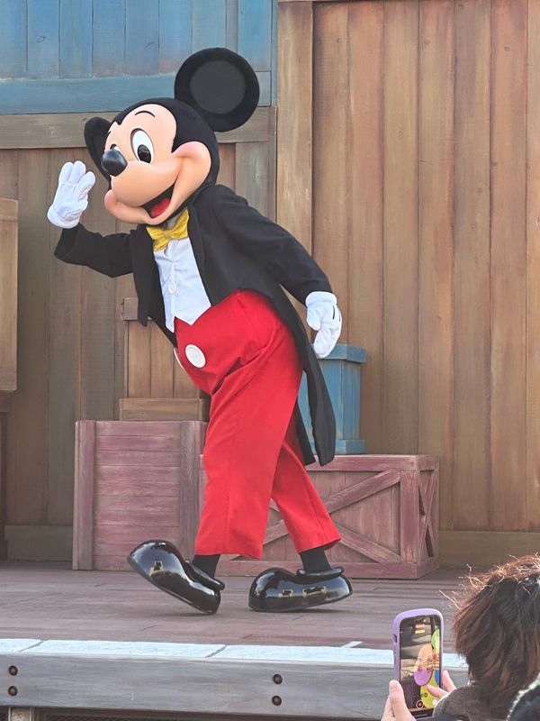 日本・千葉県「24年1月23日学校サボります。」の写真