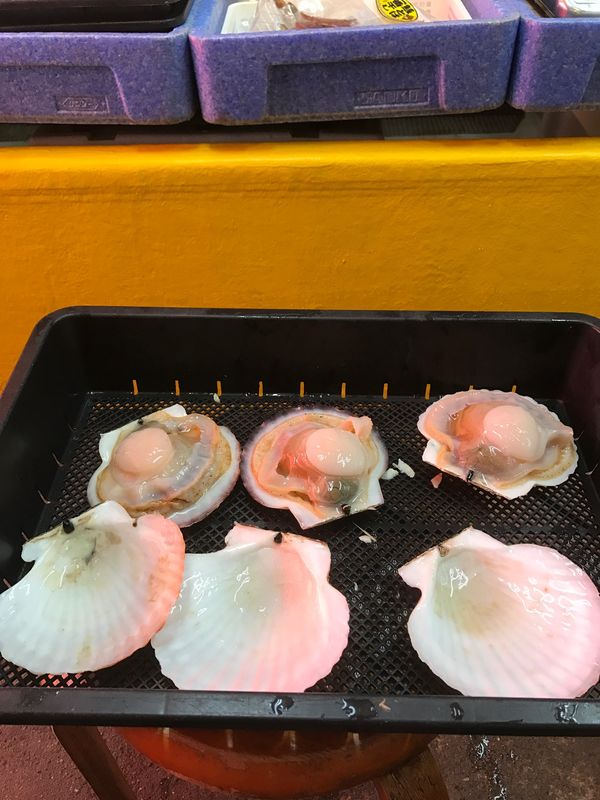 日本・函館「函館旅行」の写真