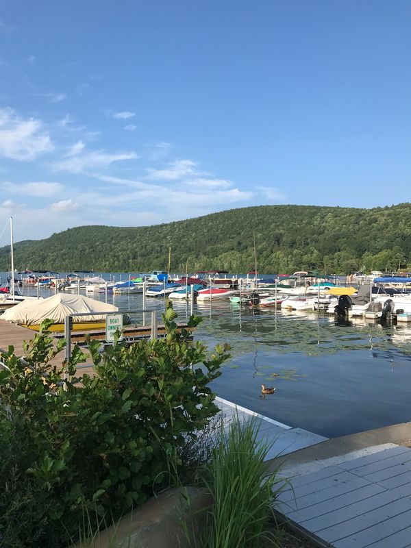 アメリカ(米国)・ニューヨーク「アメリカ　テキサス」の写真：野球が観光資源の避暑地