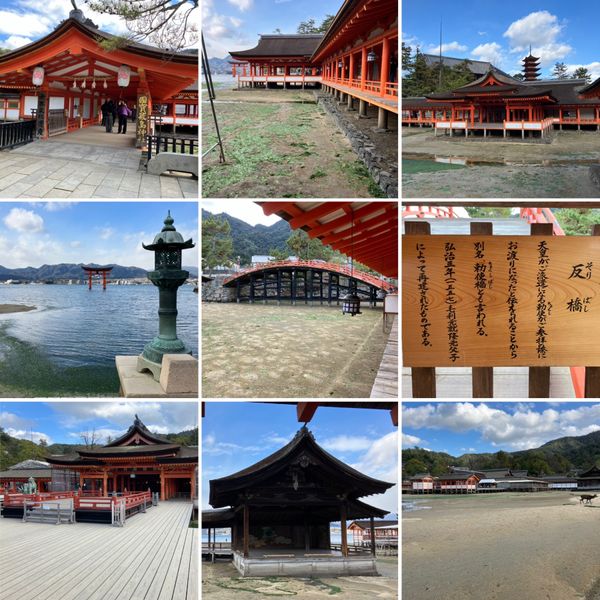 日本・宮島「WHOAMI広島」の写真