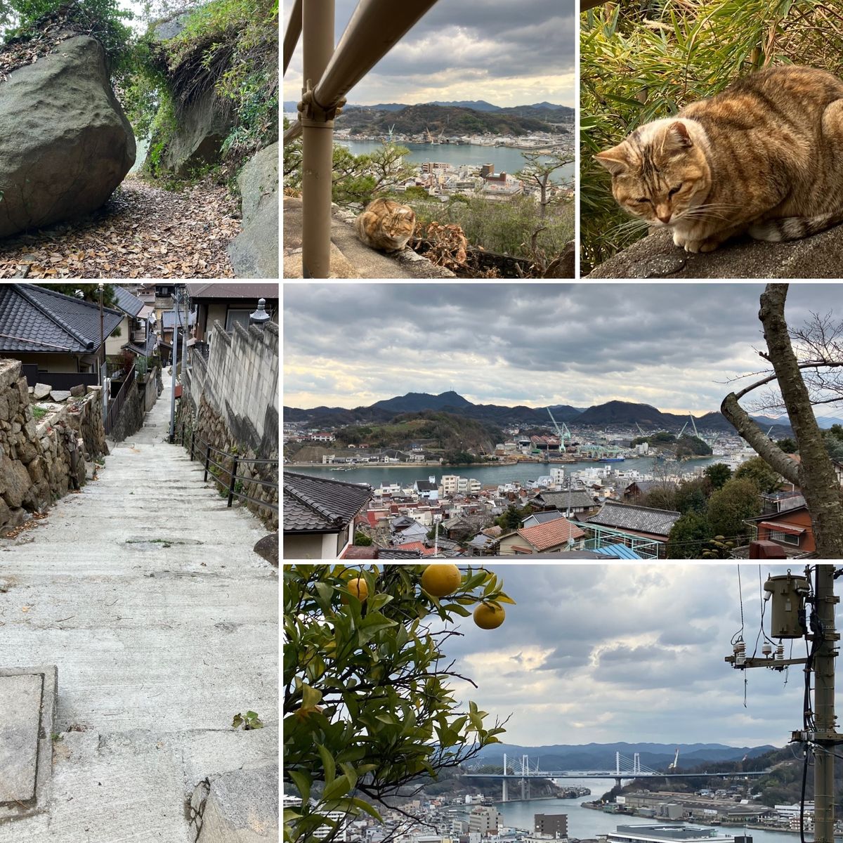 尾道市へ！
尾道ラーメン食べて、
ロープウェイが、まさかの点検？！
歩いて...