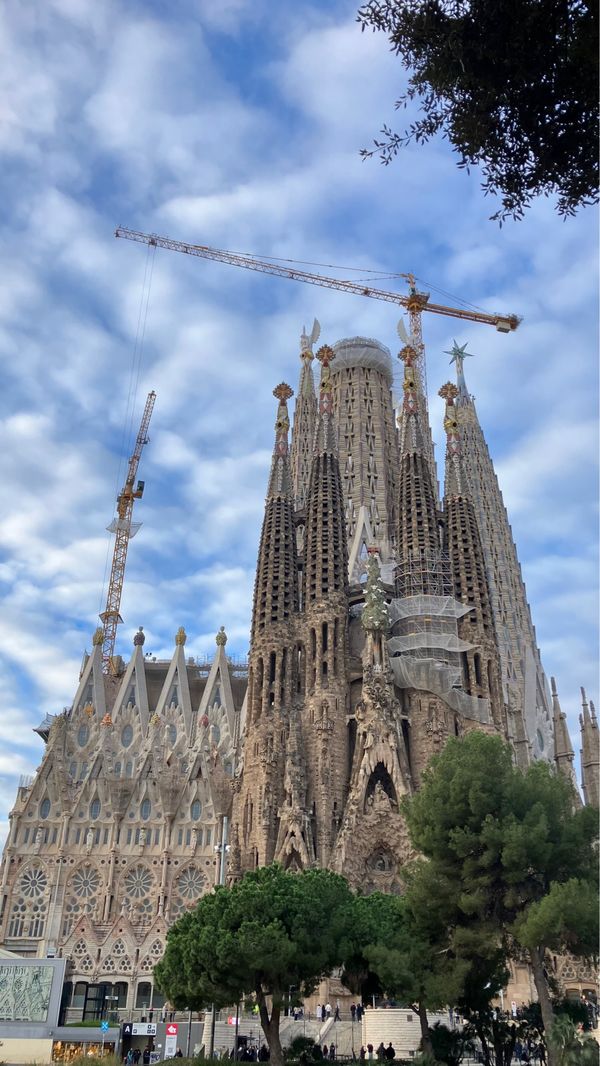 スペイン・バルセロナ「年越しスペイン」の写真