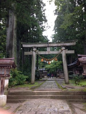 立山の杉林
当時感動した映画のロケ地かな？