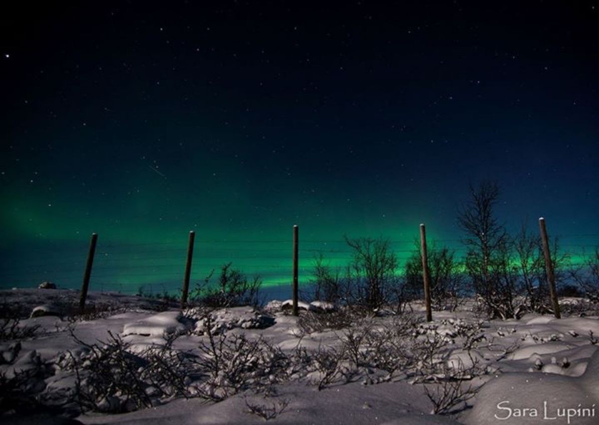 ギリ見えたオーロラ