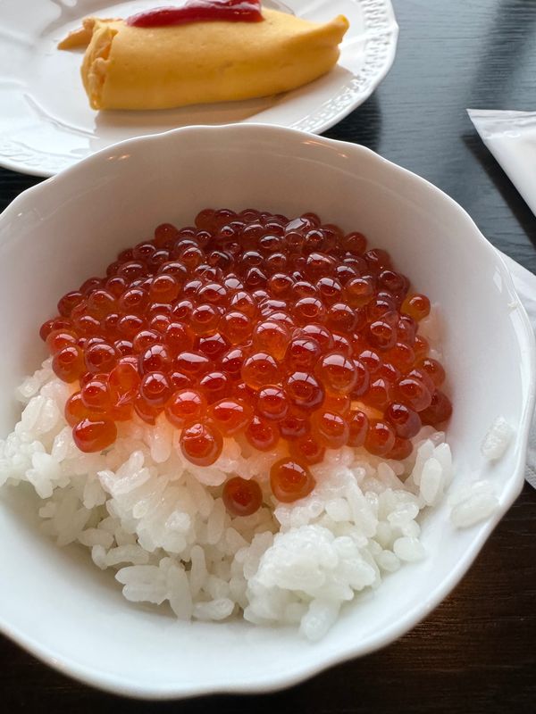 日本・北海道「ニセコ スキーツアー」の写真：あっという間
夏は避暑にもいいらしいので...