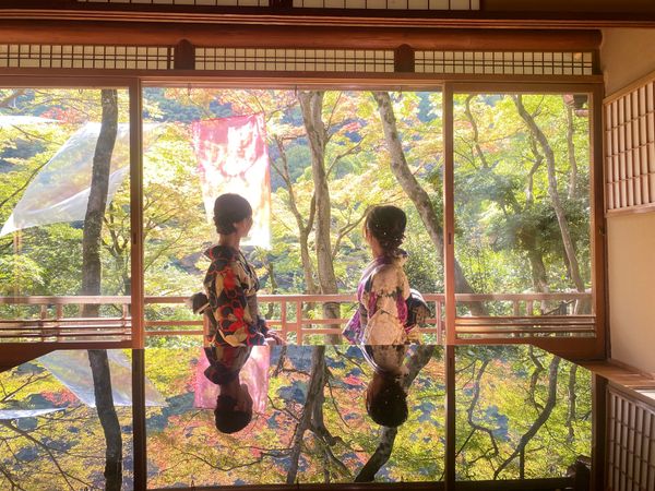 日本・京都府「京都旅行」の写真：祐斎亭、景色最高すぎた。