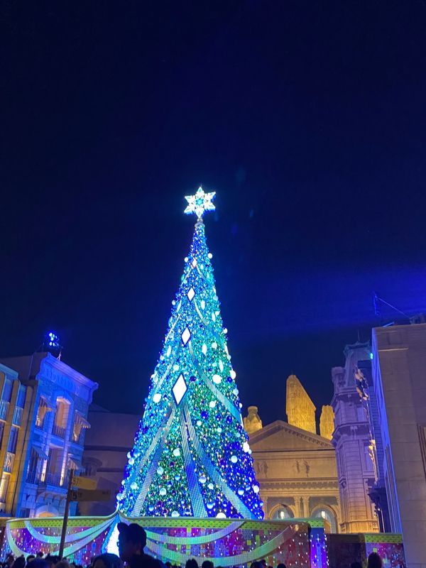 日本・大阪府「ユニバ旅行」の写真：夜の景色。2023年のツリーかわちい