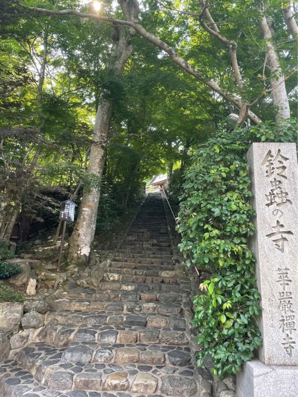 日本・京都府「京都旅行」の写真